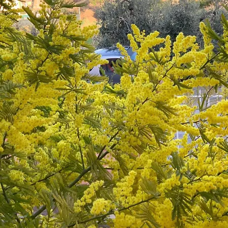 Borgo Al Sole By Garda Facilities *
